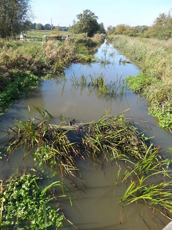 River Minsmere at Eastbridge