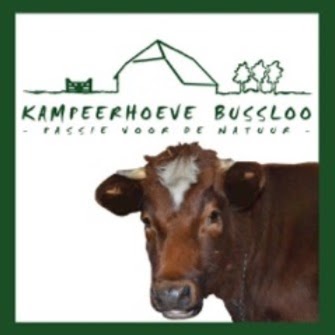 Kampeerhoeve Bussloo logo