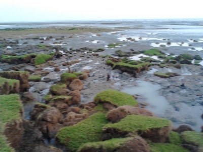 Photos of Sitakund Beach