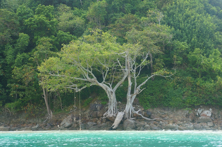 Китай, Вьетнам, Камбоджа и Тайланд на Новый Год 2013