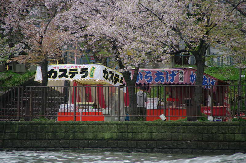 日本行