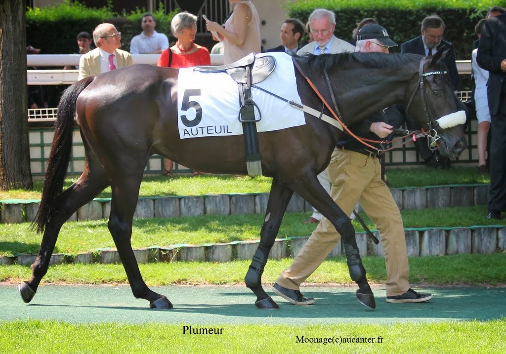 Photos Auteuil 8-06-2014  - Page 2 IMG_1835