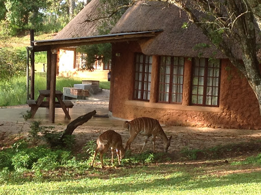 Mlilwane Wildlife Sanctuary