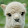 John Meuser John Meuser's profile photo