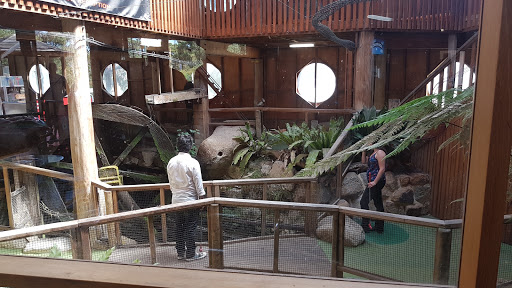Dingley Village Adventure Golf