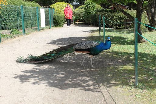 Parc Ornithologique de Bretagne
