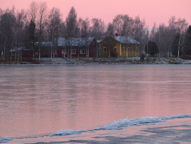 oulujoki+kirkkokangas+glace+rose+047.JPG