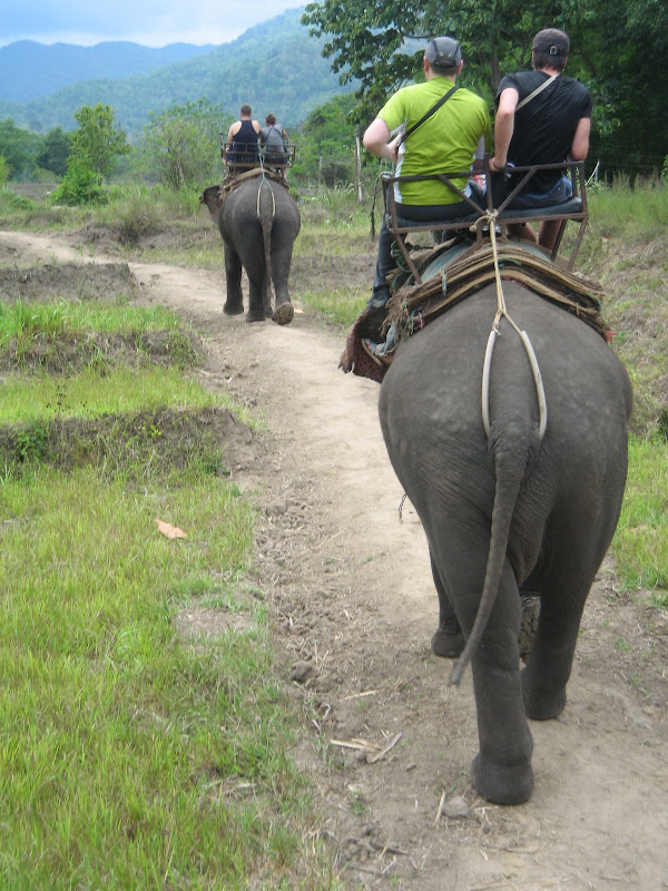 Chiang Mai - Trekking (1er día) - Por Tierras de Siam (12)