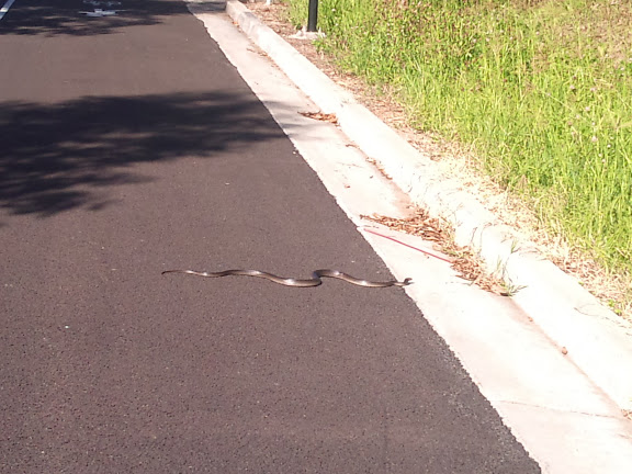 m7 cycle path