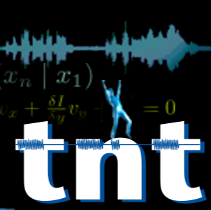 Leibniz Universität Hannover, Institut für Informationsverarbeitung (TNT) logo