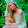 Évike D. Évike D.'s profile photo
