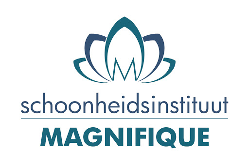 Sch.heid.instit. Magnifique logo
