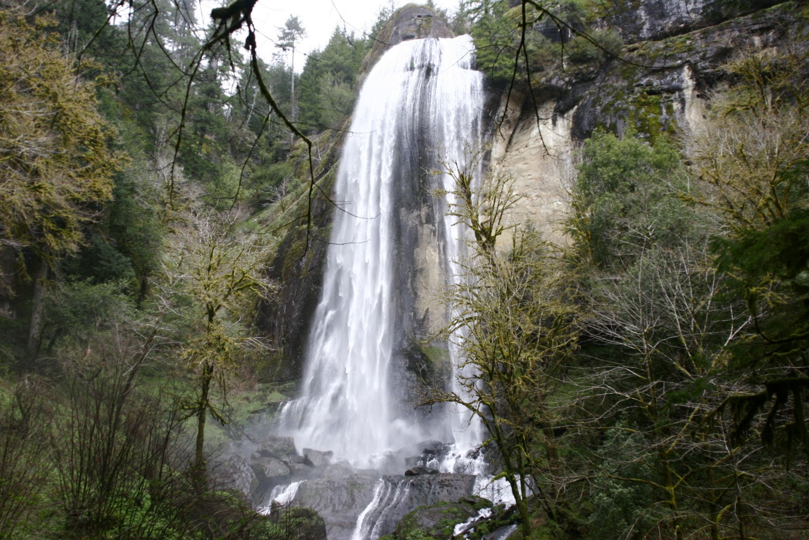 Cascading Dreams: Exploring Oregon's Golden and Silver Falls State Natural Area