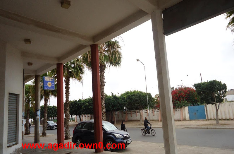 شارع الحاج الحبيب بمدينة اكادير DSC01513