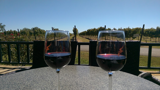 Grape creek vineyard top