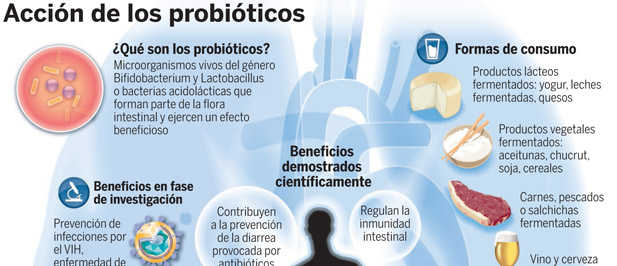 Los probioticos adelgazan