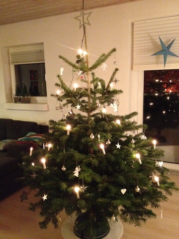 Nykjær klostergaard kreativitetens finurligheder: december 2012 Stue juletræ