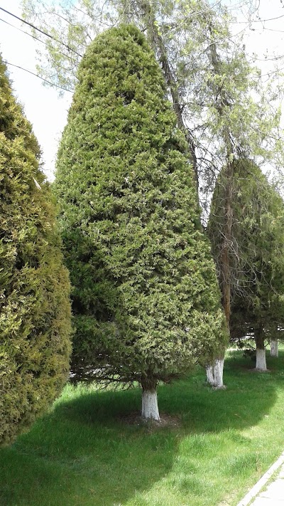 Photos of Basseyn