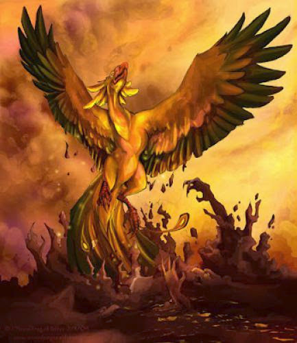 Ra God And The Phoenix