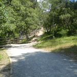 The track between Carlotta's Arch and the Carpark Intersection (8456)