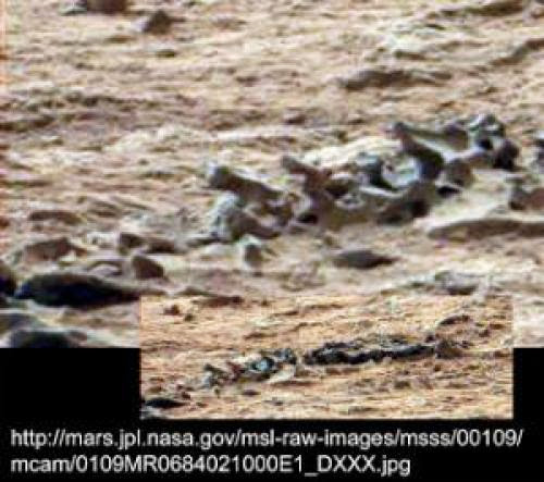 Human Community On Mars
