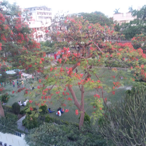 Shri Nagar Park, Sonia Rd, Near Ramkund, Sidhgiribagh, Varanasi, Uttar Pradesh 221010, India, Park_and_Garden, state UP