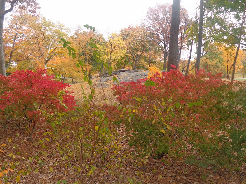 Честное октябрятское, на Евродаме можно жить! Октябрь 2013, круиз по Карибам