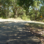 Downhill Trail in Green Point Reserve close to Lake Macquarie (403336)