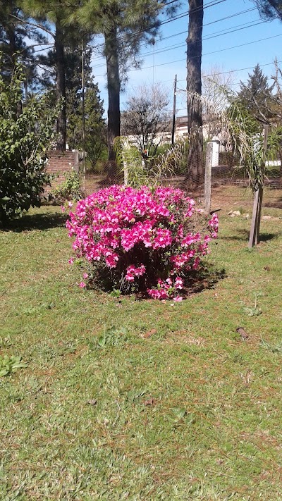 Photos of Campground Club de Pescadores