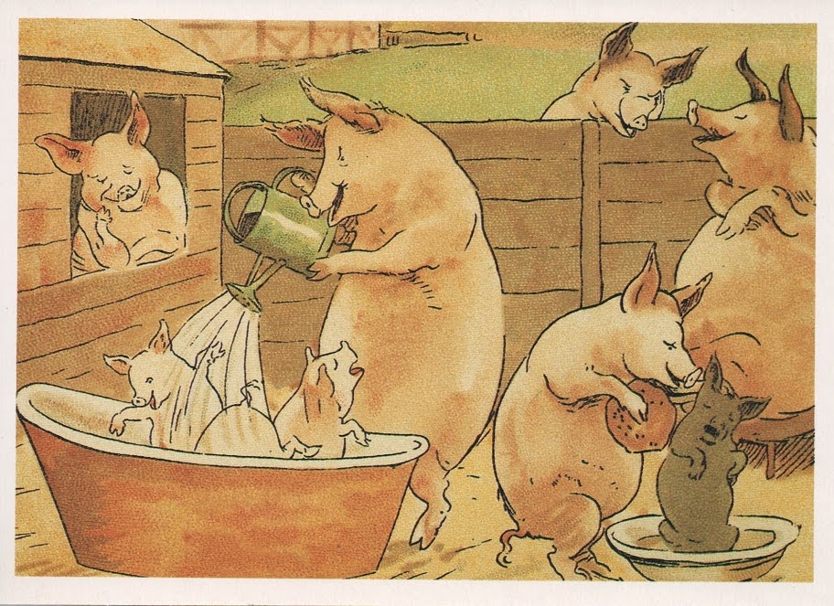 Свинья кайфует в сауне. Свинья в бане. Поросенок в тазике.