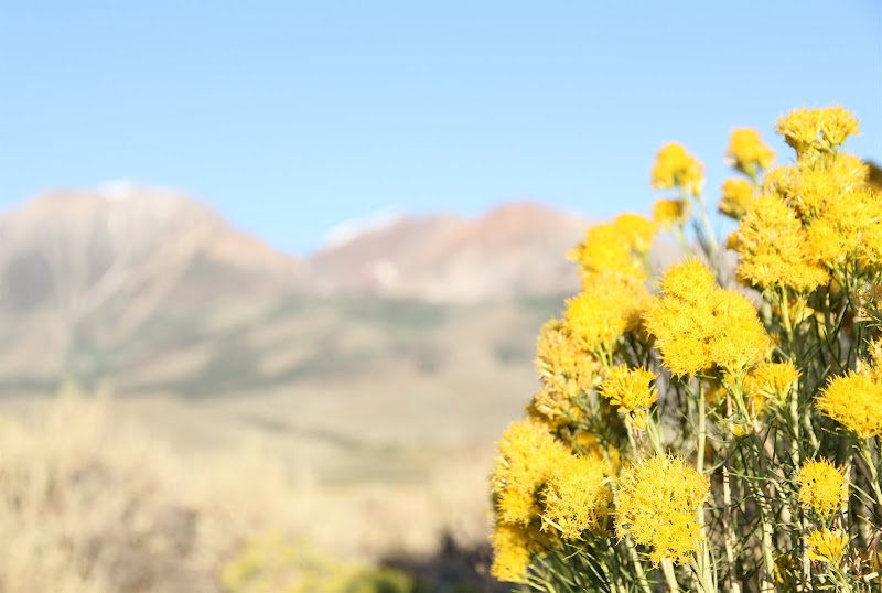 ““““““““