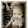 April Mixon April Mixon's profile photo