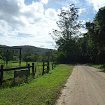 Walking along Ourimbah Creek Road beside Hidden Valley (369622)