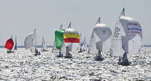 J/24 fleet sailing one-design under spinnaker