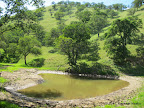 A pond along Hardy Canyon Trail