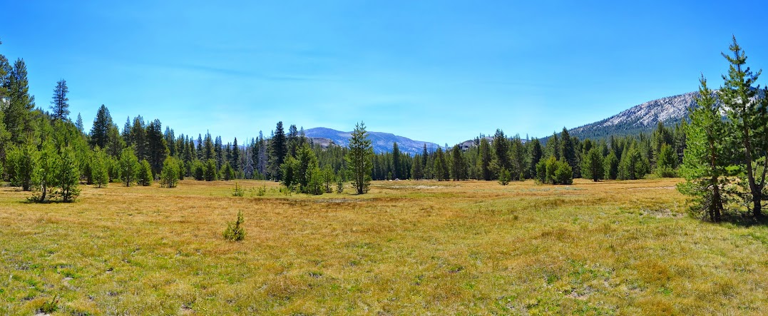 YOSEMITE: Un Parque Nacional con mayúsculas. - COSTA OESTE USA 2012 (California, Nevada, Utah y Arizona). (14)