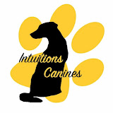 Intuitions Canines - Educateur canin à domicile - Loire