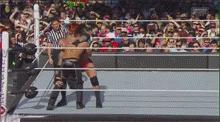 3. HARDCORE CHAMPIONSHIP - Batista (c) vs. Randy Orton - EXTREME RULES MATCH.  T-bone-suples