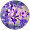 violeta paulsson