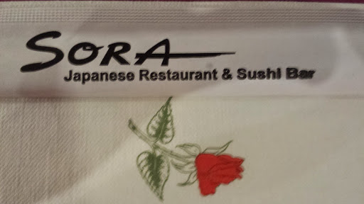 Restaurant «Sora Japanese Restaurant», reviews and photos, 91 Forest Gate Dr, Pisgah Forest, NC 28768, USA