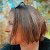 Writer: Anne Paquette