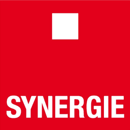 Agence intérim Synergie Montbéliard logo