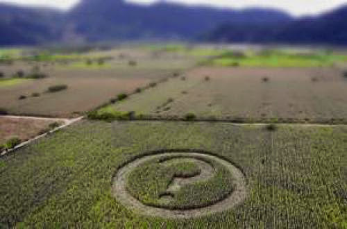 April 29 Of Flattened Flora And Expulsion Cavities The Crop Circle Controversy Continues
