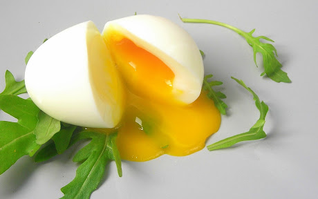 soft_boiled_egg.jpg