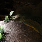 Cave beside track (73305)