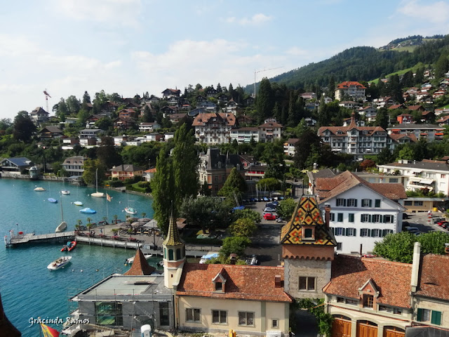 passeando - Passeando pela Suíça - 2012 - Página 13 DSC04740