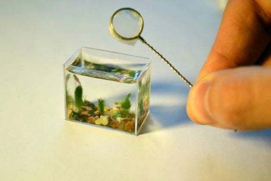  اصغر حوض سمك في العالم  Micro_miniature_art_aquarium_02