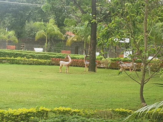 Curchorem Municipal Garden