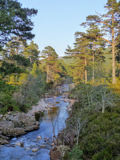 Glen Tanar