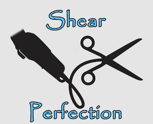 Shear Perfection Salon logo